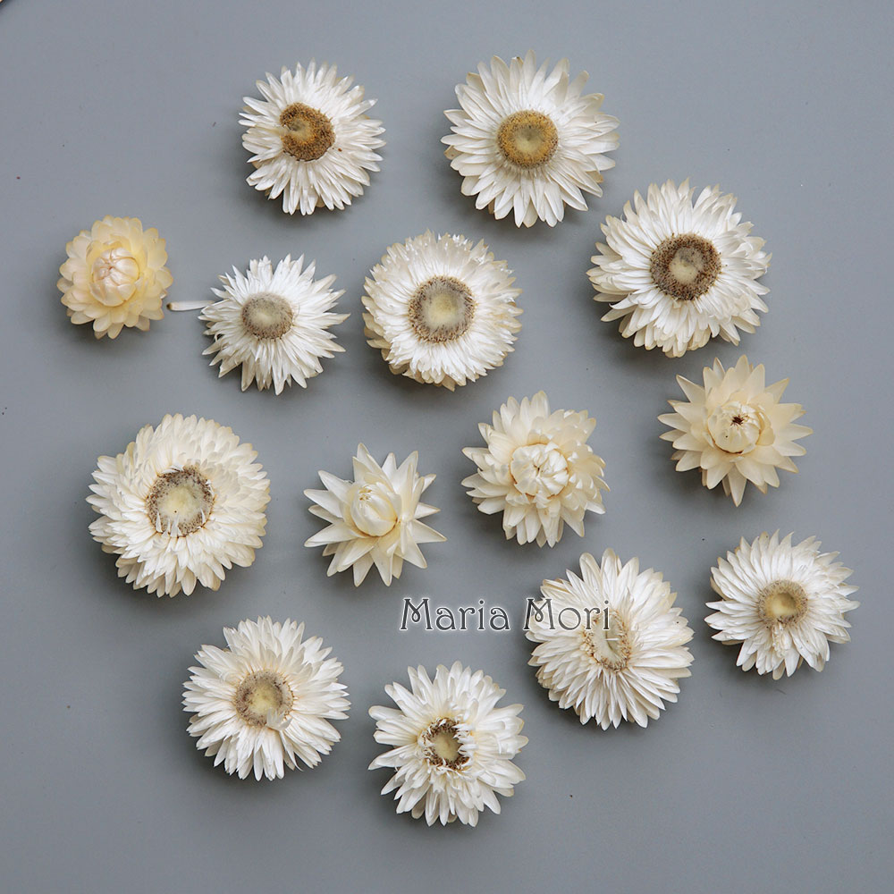 Candle Making Products - Natuurlijke Gedroogde Kleurrijke Chrysanthemum Krans Handgemaakte