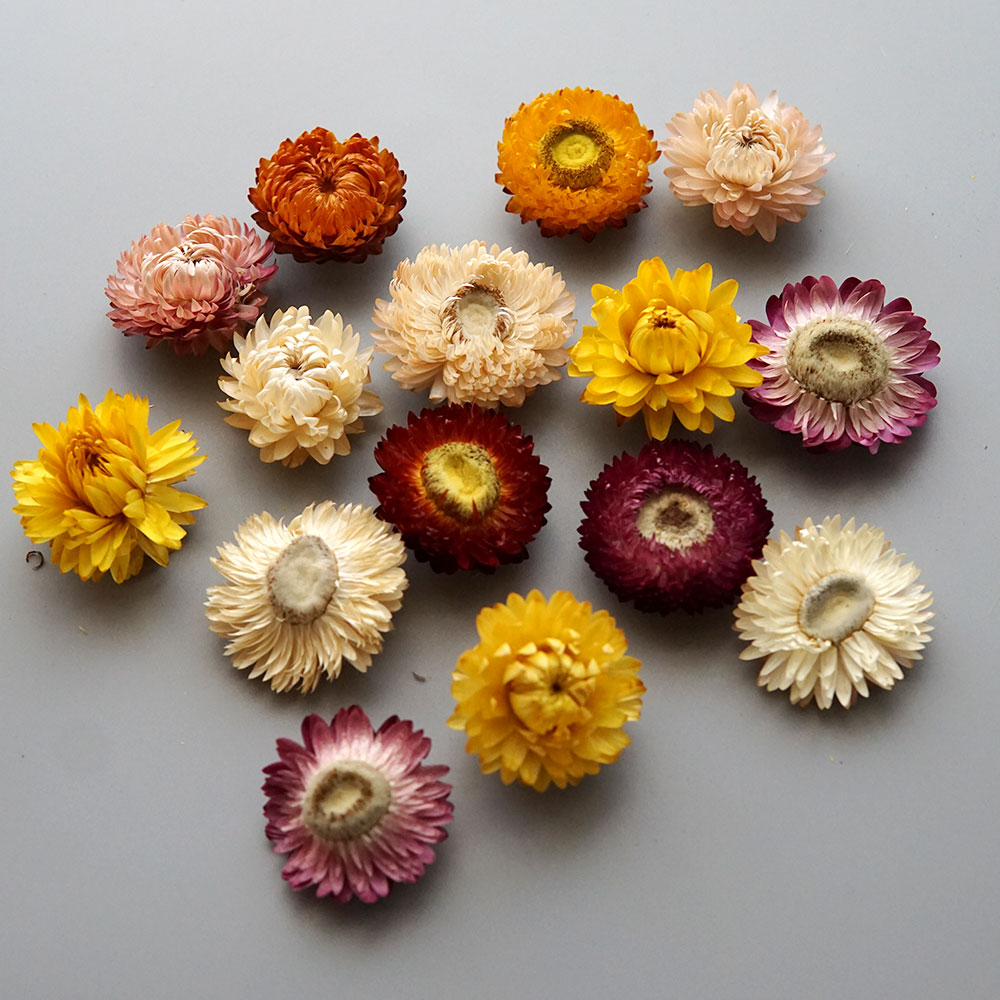 Natuurlijke Gedroogde Kleurrij - Candle Making Products recensie en prijs